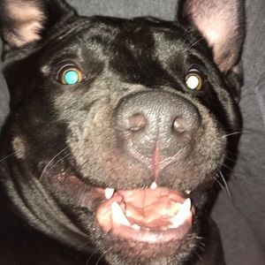 Meet your Posher, Makenna